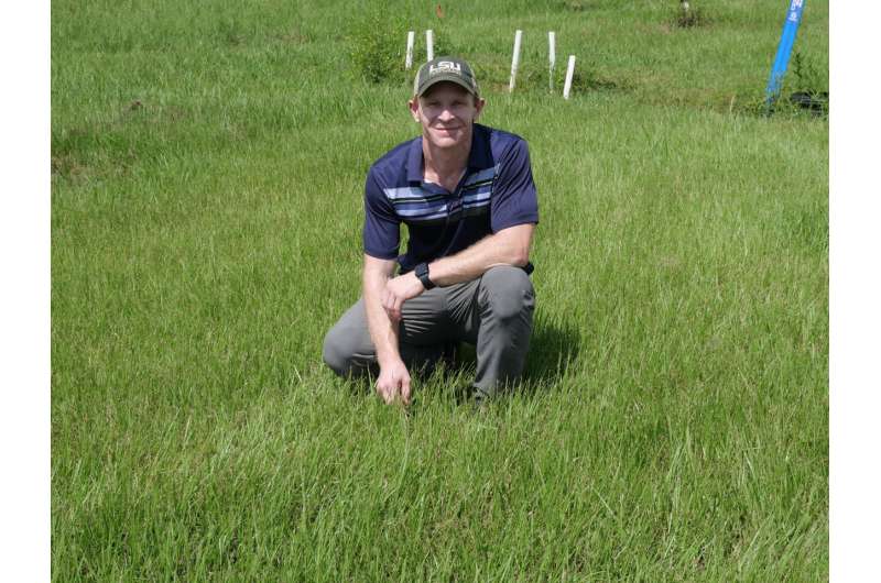 Multi-state study offers recommendations for keeping bermudagrass greener all season