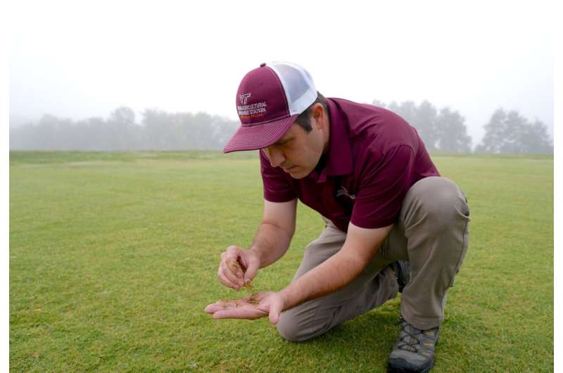 Multi-state study offers recommendations for keeping bermudagrass greener all season