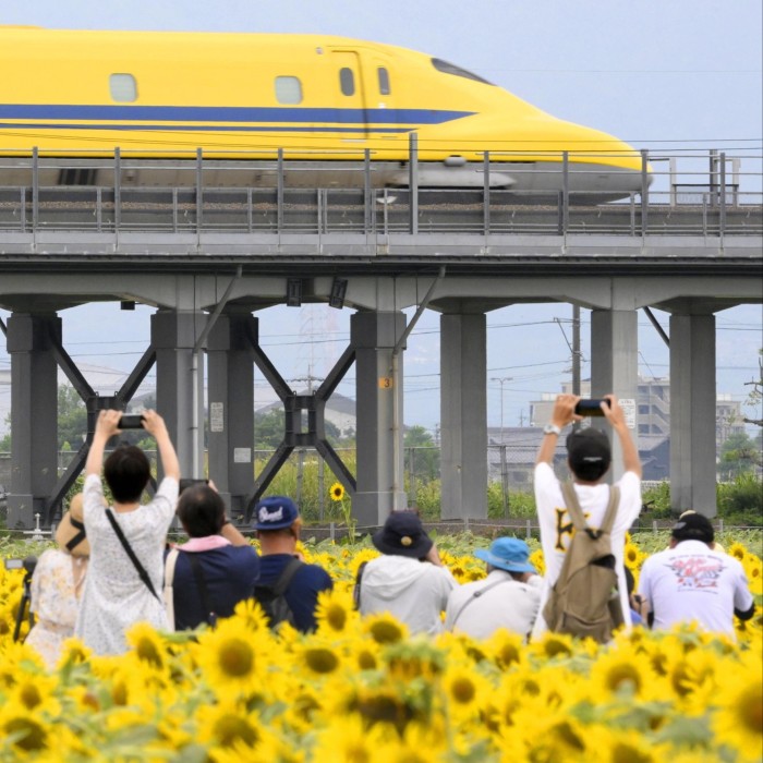 People standing in front of a field of sunflowers hold up their cameras to take photos of a yellow train speeding by on a bridge 