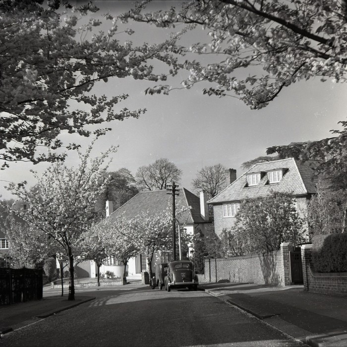 A black and white photo shows a sunlit view of a tree-lined residential street with semi-detached houses and a pair of parked cars