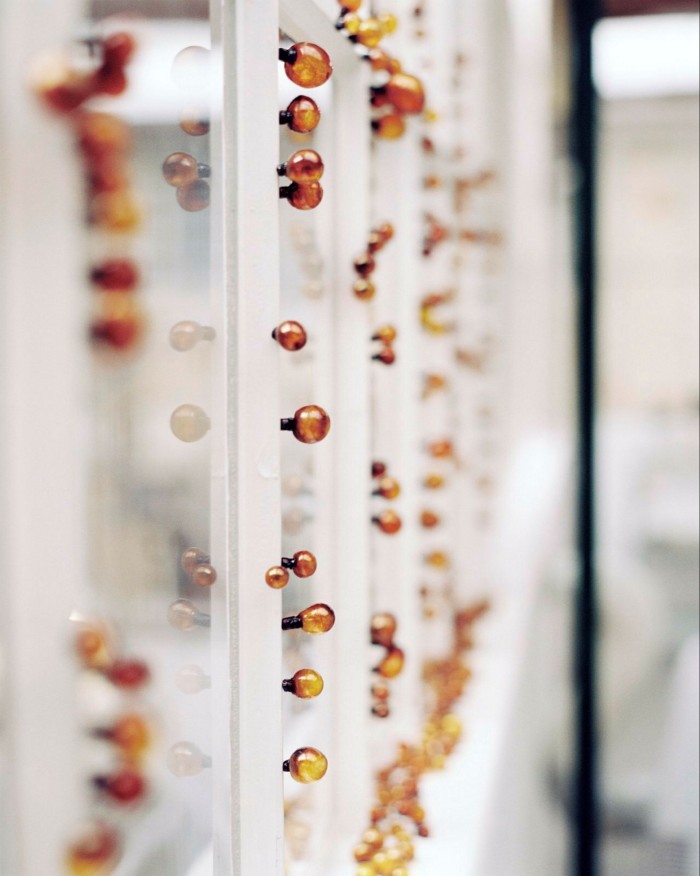 A white framed window is covered with rows upon rows of amber-coloured bubbles