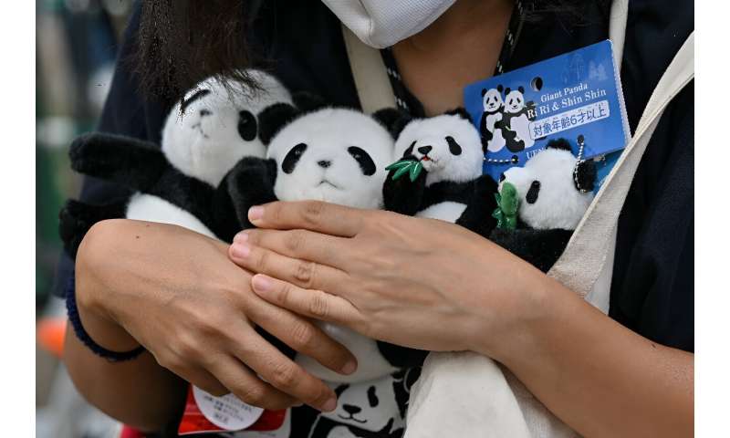 The mammals are immensely popular around the world, and China loans them out as part of a &quot;panda diplomacy&quot; programme to foster foreign ties