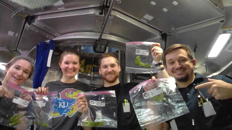 NASA HERA Crew Members Holds Lettuce