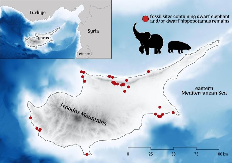 Cyprus Map and Dwarf Elephant Fossil Sites