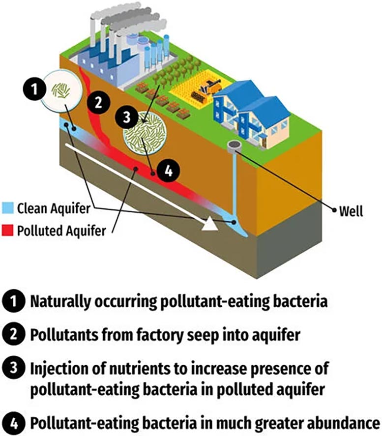 Microorganism Groundwater Cleanup Schematic