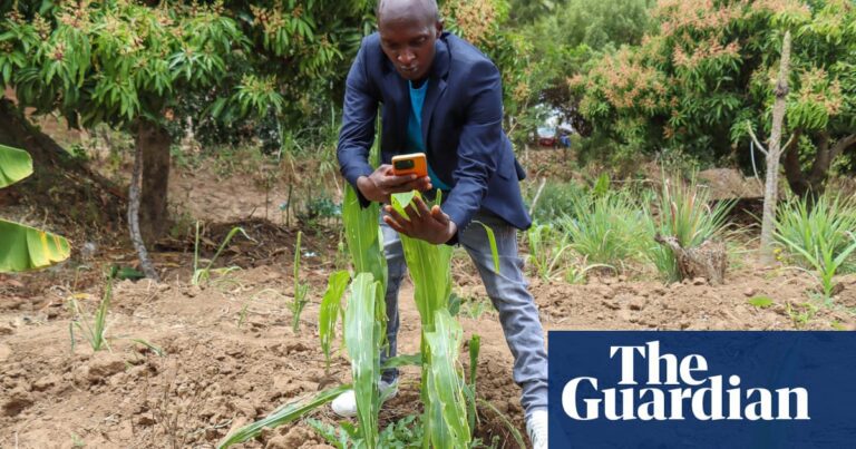 High tech, high yields? The Kenyan farmers deploying AI to increase productivity | Kenya