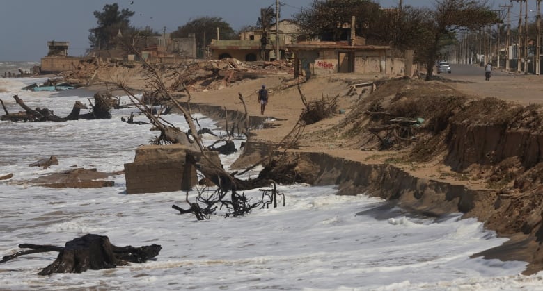 The coast is shown, with tree stumps and branches and debris surrounded by water. In the distance, a man walks on the sand with a destroyed building beyond him. 