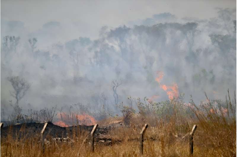 Millions of hectares of forest and farmland have burnt in Argentina, Brazil, Bolivia, Colombia, Ecuador, Paraguay and Peru