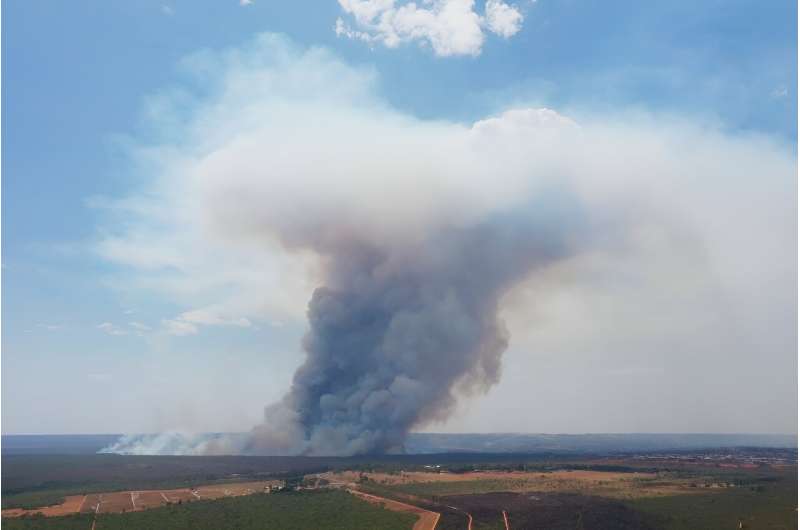 VMillions of hectares of forest and farmland have burnt in Argentina, Brazil, Bolivia, Colombia, Ecuador, Paraguay and Peru