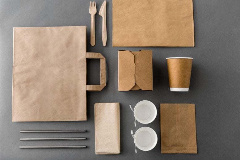 Recyclable Food Packaging