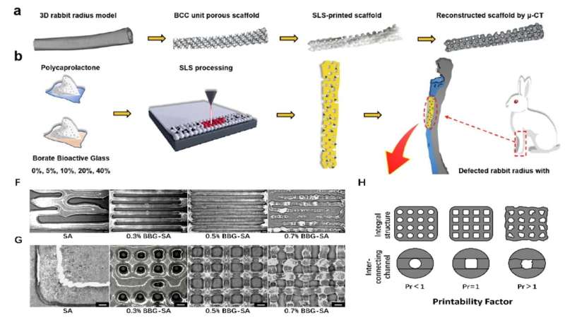 3D bioprinting materials offer possibility for better bone and soft tissue repair