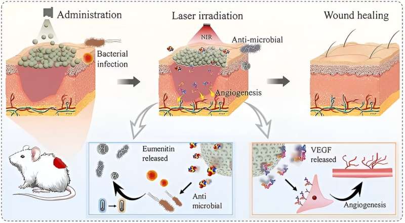 Color-changing, self-healing hydrogel microparticles: a smart solution for advanced wound care