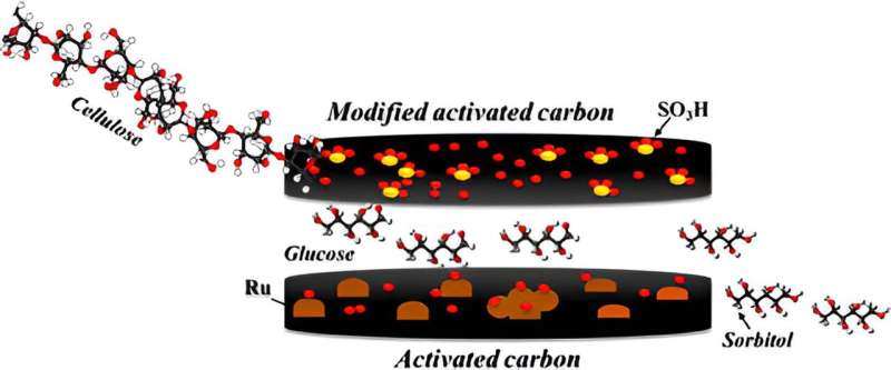 Advancing green chemistry: Tandem catalyst for efficient biomass conversion