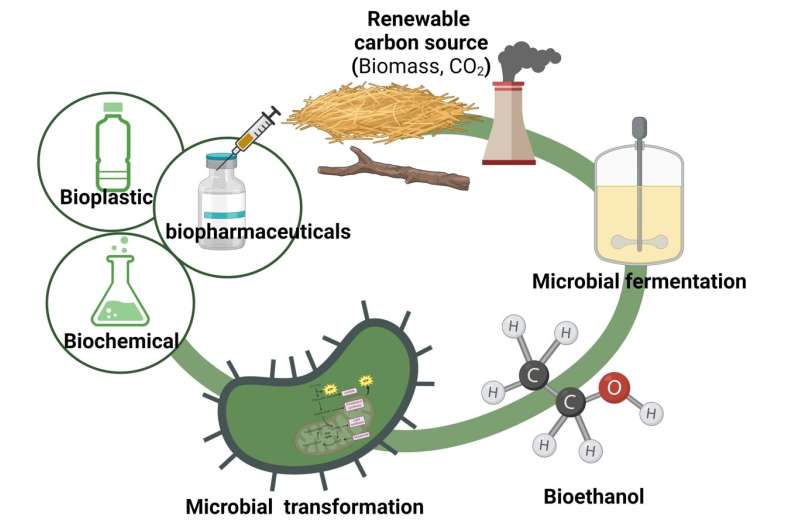 Ethanol: A viable alternative to sugar-based carbon sources for biomanufacturing