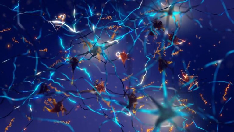 Quantum Effect in the Brain Challenges Conventional Wisdom