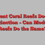 Ancient Coral Reefs Dodged Extinction – Can Modern Reefs Do the Same?