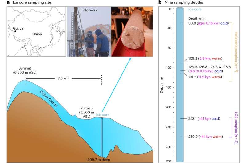 Ancient viral genomes preserved in glaciers reveal climate history—and how viruses adapt to climate change