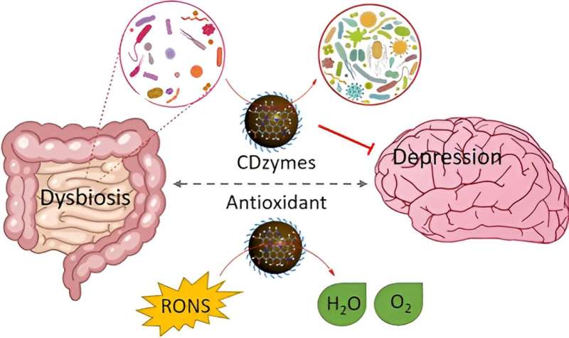 Alleviating depression in mice by restoring the gut microbiome