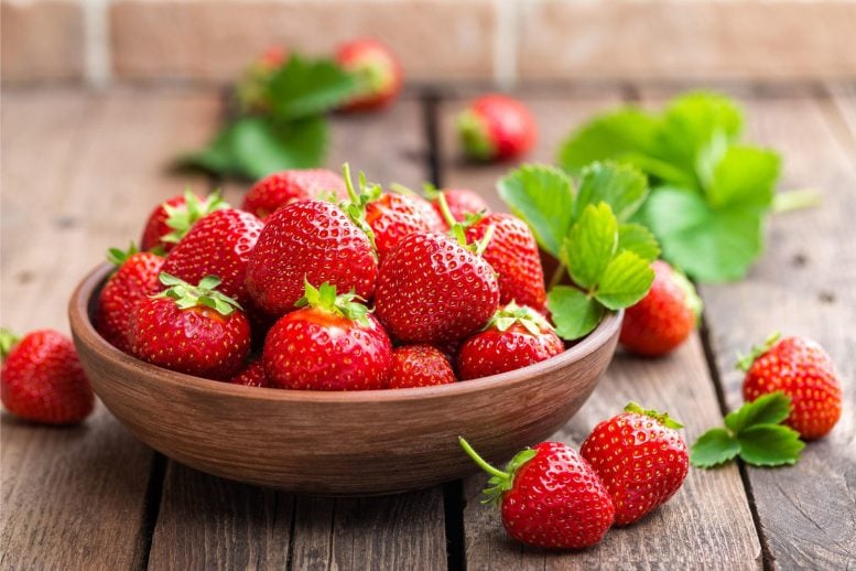 Bowl Strawberries