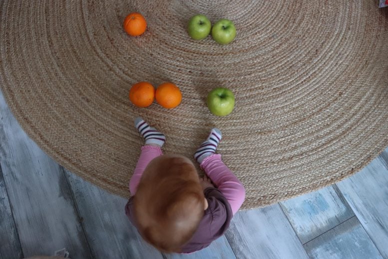 Baby Observing Sets of Objects