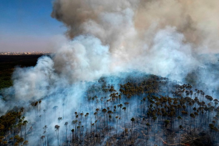 Smoke rises as fires rage through forests in Brazil this month