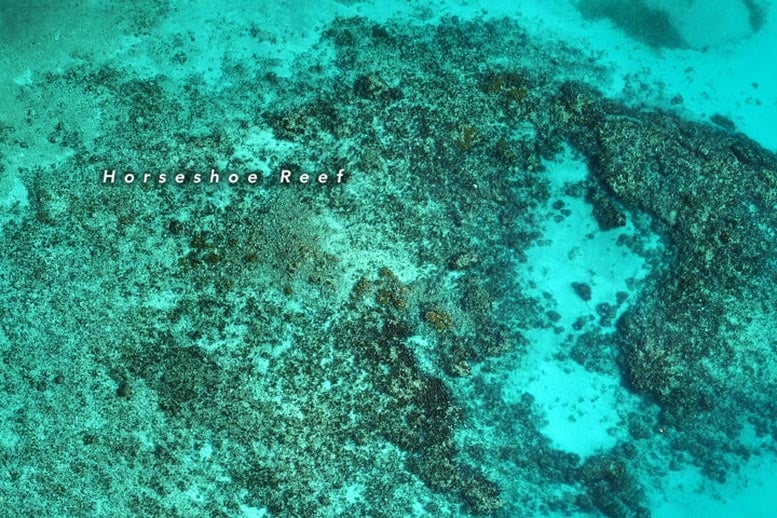 Florida Horseshoe Reef May 2023 Annotated