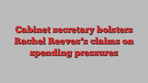 Cabinet secretary bolsters Rachel Reeves’s claims on spending pressures