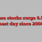 Chinese stocks surge 8.5% in best day since 2008