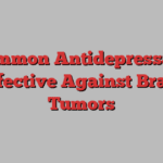 Common Antidepressant Effective Against Brain Tumors