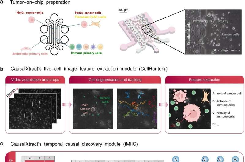 Computational tool can pinpoint causal relationships from complex biological data