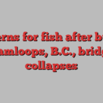 Concerns for fish after burned Kamloops, B.C., bridge collapses