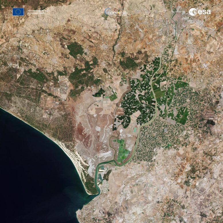 Seville From Copernicus Sentinel-2C