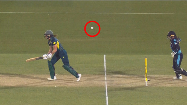 Ellyse Perry was run out in somewhat bizarre scenes against New Zealand.