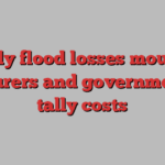 Deadly flood losses mount as insurers and governments tally costs