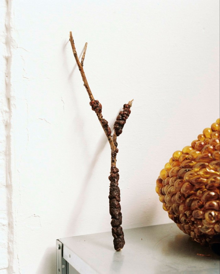 A twig coated in a brown organic material is propped up on a stainless-steel table next to a sculpture made from a cluster of amber-coloured bubbles 