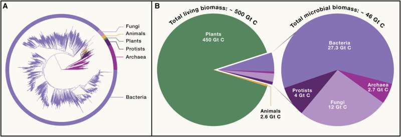 Don't overlook microorganisms' role in planet health, scientists warn