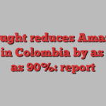 Drought reduces Amazon River in Colombia by as much as 90%: report