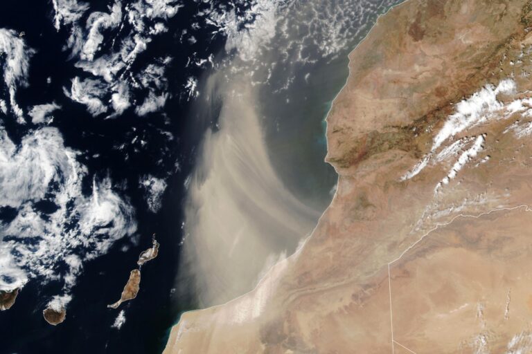 The Powerful Intercontinental Reach of Saharan Dust