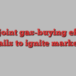 EU joint gas-buying effort fails to ignite market