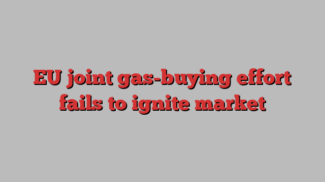 EU joint gas-buying effort fails to ignite market