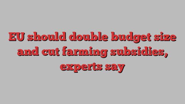 EU should double budget size and cut farming subsidies, experts say