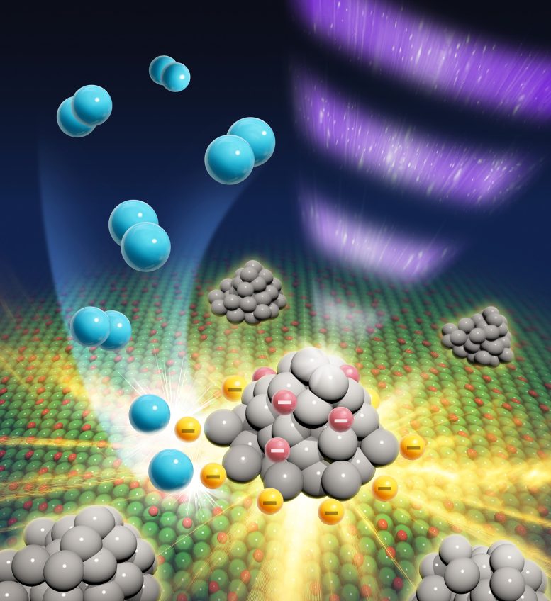 Photogenerated Electrons Contribute to Photocatalytic H2 Evolution Reaction on Metal-Loaded Oxides