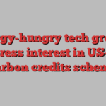 Energy-hungry tech groups express interest in US-led carbon credits scheme