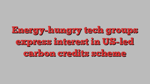 Energy-hungry tech groups express interest in US-led carbon credits scheme