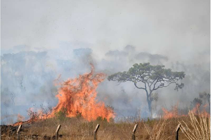 Brasilia is battling its worst fires of the year so far