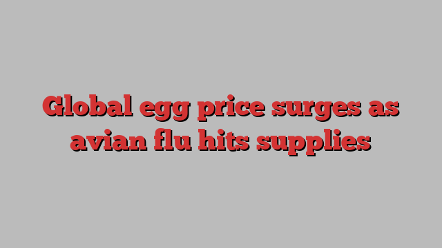 Global egg price surges as avian flu hits supplies