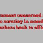 Government concerned about public scrutiny in mandating workers back to office