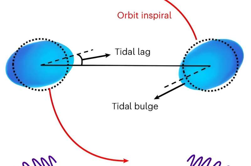 Gravitational waves unveil previously unseen properties of neutron stars