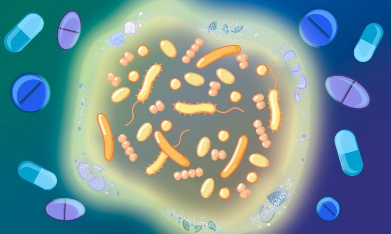 Drug Gut Microbiome Interactions