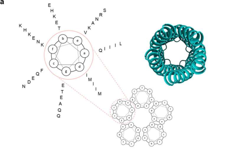 Harnessing exosomes and hydrogels for advanced diabetic wound healing